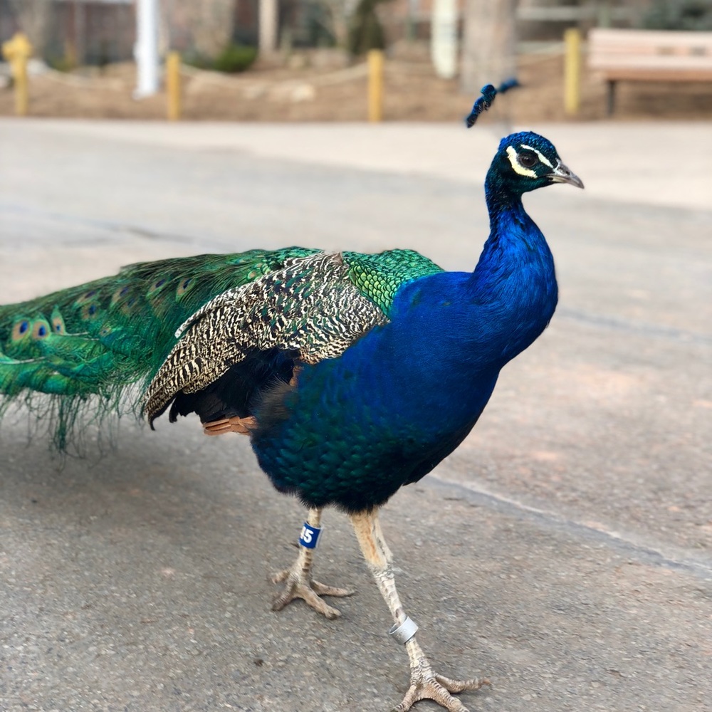 Meet your Posher, Kayla